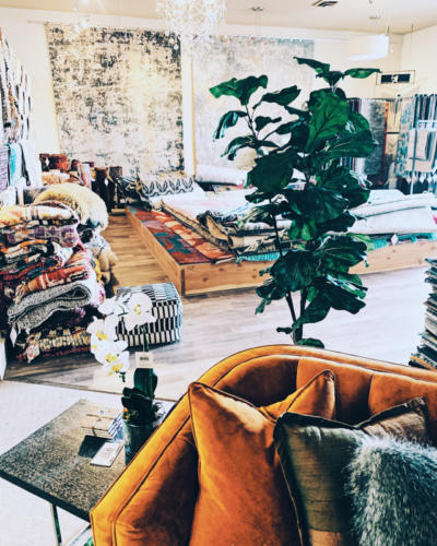 Augusto Fine Rugs Boise Idaho 17 1